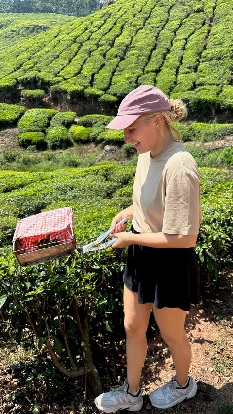 Mangala Chai: wie unser Sticky Chai aus einer Indien-Reise wurde