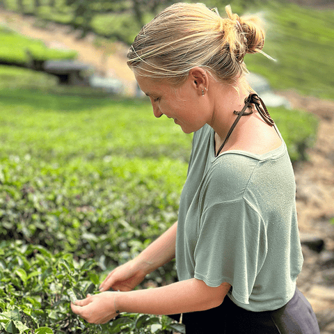Unser Weg zu achtsamen Genuss